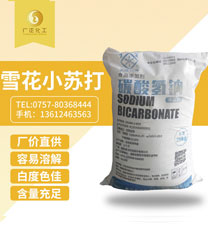 雪花(huā)牌食用小蘇打(dǎ)