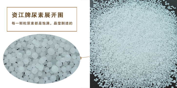 尿素生(shēng)産廠家